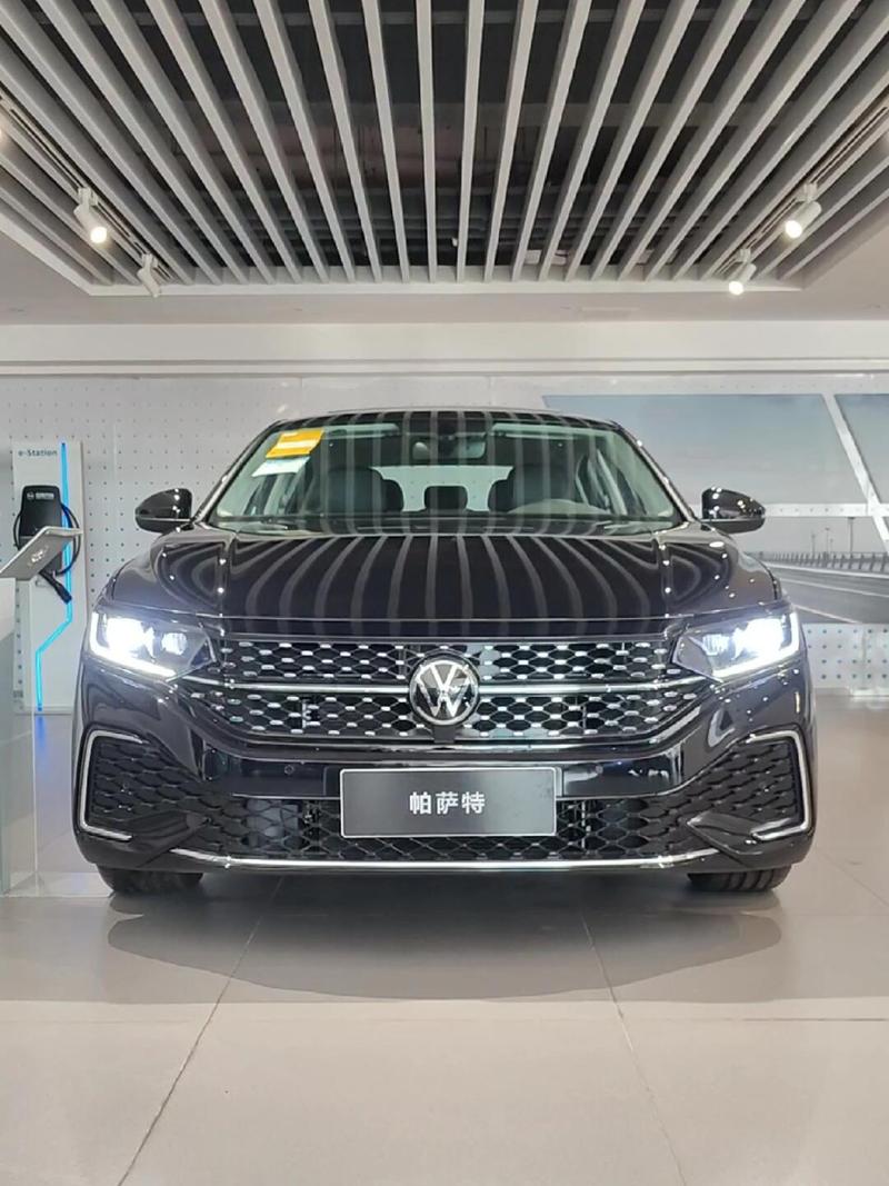 帕萨特帕萨特/l帕萨特
