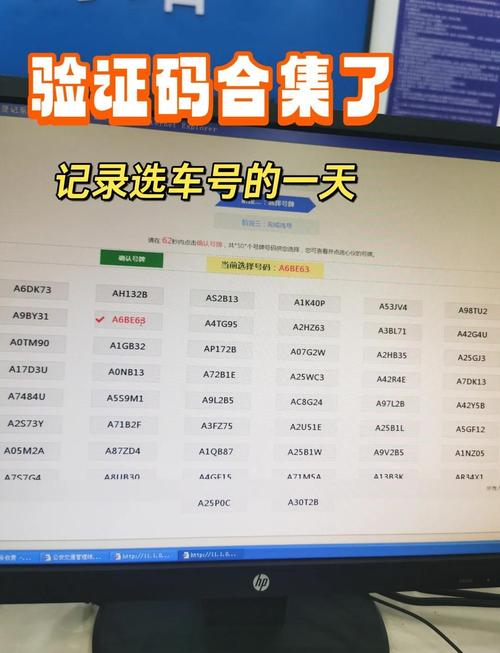 车选号怎么网上选号 车选号怎么网上选号时间查询