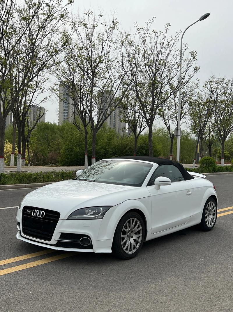 奥迪单门敞篷车型,奥迪敞篷双门