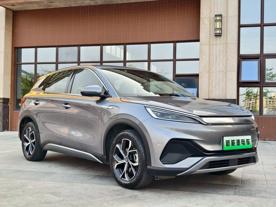 比亚迪系列新能源汽车/比亚迪系列新能源汽车的小电瓶一般都用的什么牌子