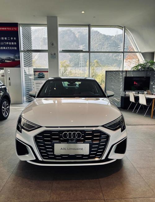 奥迪最顶级的是什么车(奥迪最高级别的车)