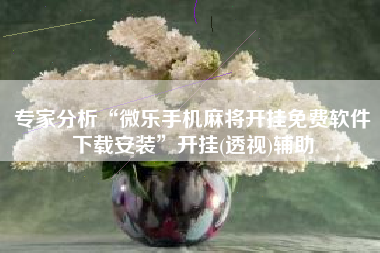 专家分析“微乐手机麻将开挂免费软件下载安装”开挂(透视)辅助