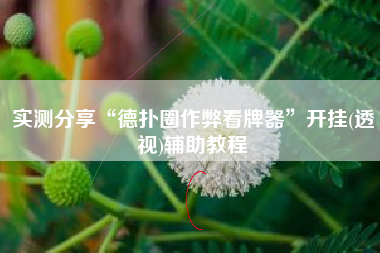 实测分享“德扑圈作弊看牌器	”开挂(透视)辅助教程