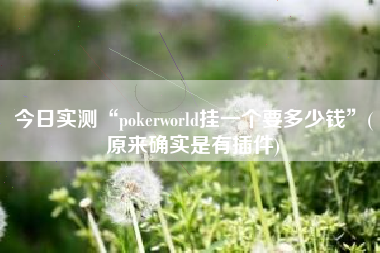 今日实测“pokerworld挂一个要多少钱”(原来确实是有插件)