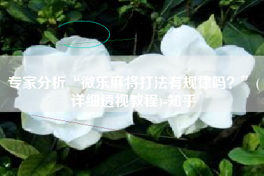 专家分析“微乐麻将打法有规律吗？	”(详细透视教程)-知乎