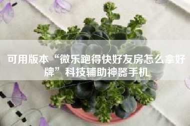 可用版本“微乐跑得快好友房怎么拿好牌”科技辅助神器手机