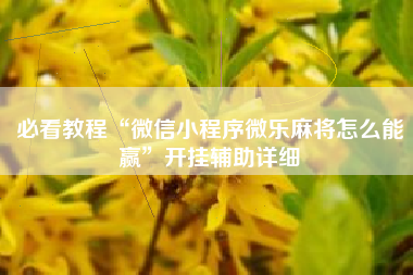 必看教程“微信小程序微乐麻将怎么能赢”开挂辅助详细