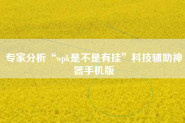 专家分析“wpk是不是有挂”科技辅助神器手机版