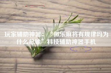 玩家辅助神器：“微乐麻将有规律吗为什么总输”科技辅助神器手机