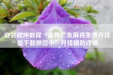 安装程序教程“雀神广东麻将免费开挂器下载微信小”开挂辅助详细