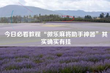 今日必看教程“微乐麻将助手神器”其实确实有挂