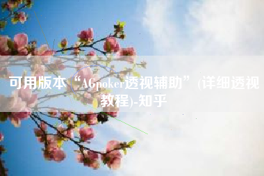 可用版本“AGpoker透视辅助”(详细透视教程)-知乎
