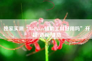独家实测“WePoker辅助工具好用吗”开挂(透视)辅助