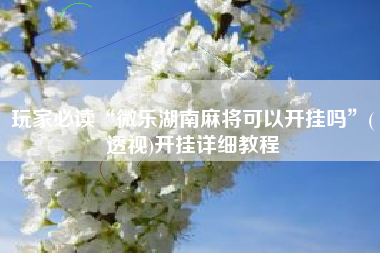 玩家必读“微乐湖南麻将可以开挂吗”(透视)开挂详细教程