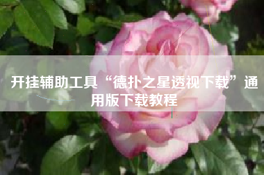 开挂辅助工具“德扑之星透视下载”通用版下载教程