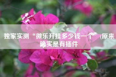 独家实测“微乐开挂多少钱一个	”(原来确实是有插件