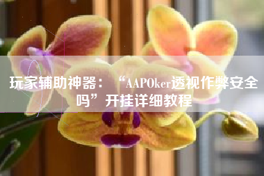 玩家辅助神器：“AAPOker透视作弊安全吗”开挂详细教程