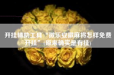 开挂辅助工具“微乐安徽麻将怎样免费开挂”(原来确实是有挂)