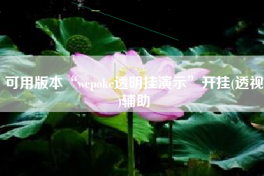 可用版本“wepoke透明挂演示”开挂(透视)辅助
