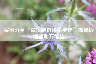 实测分享“微乐跑得快免费挂”揭秘透视辅助万能挂