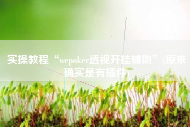 实操教程“wepoker透视开挂辅助	”(原来确实是有插件)