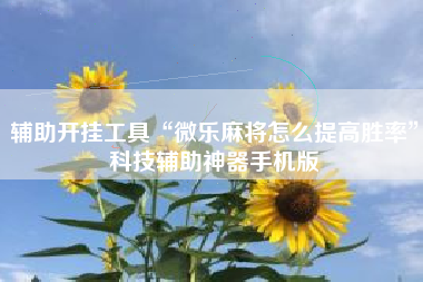 辅助开挂工具“微乐麻将怎么提高胜率”科技辅助神器手机版