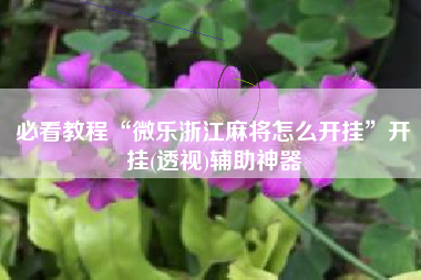必看教程“微乐浙江麻将怎么开挂”开挂(透视)辅助神器