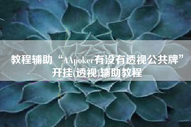 教程辅助“AApoker有没有透视公共牌”开挂(透视)辅助教程