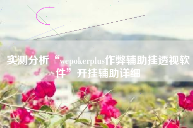 实测分析“wepokerplus作弊辅助挂透视软件”开挂辅助详细