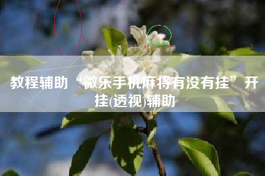 教程辅助“微乐手机麻将有没有挂”开挂(透视)辅助