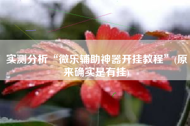 实测分析“微乐辅助神器开挂教程”(原来确实是有挂)