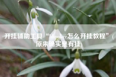 开挂辅助工具“hhpoker怎么开挂教程”(原来确实是有挂)