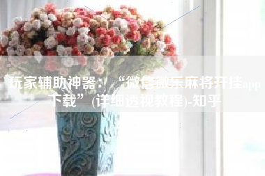 玩家辅助神器：“微信微乐麻将开挂app下载”(详细透视教程)-知乎