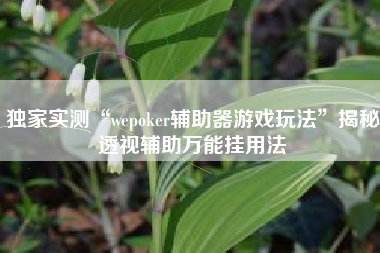 独家实测“wepoker辅助器游戏玩法	”揭秘透视辅助万能挂用法