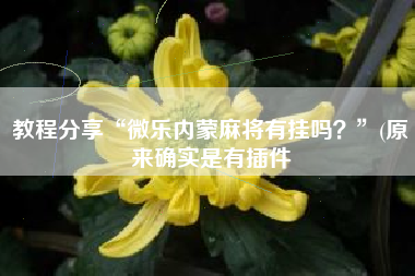教程分享“微乐内蒙麻将有挂吗？”(原来确实是有插件