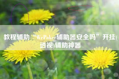 教程辅助“WePoker辅助器安全吗”开挂(透视)辅助神器