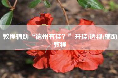 教程辅助“德州有挂？	”开挂(透视)辅助教程