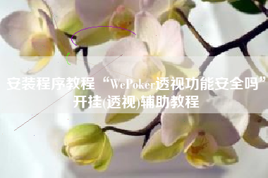 安装程序教程“WePoker透视功能安全吗	”开挂(透视)辅助教程