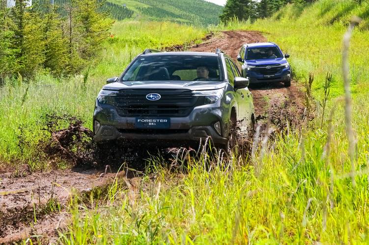 森林人第三代对比第四代(三代森林人代号)